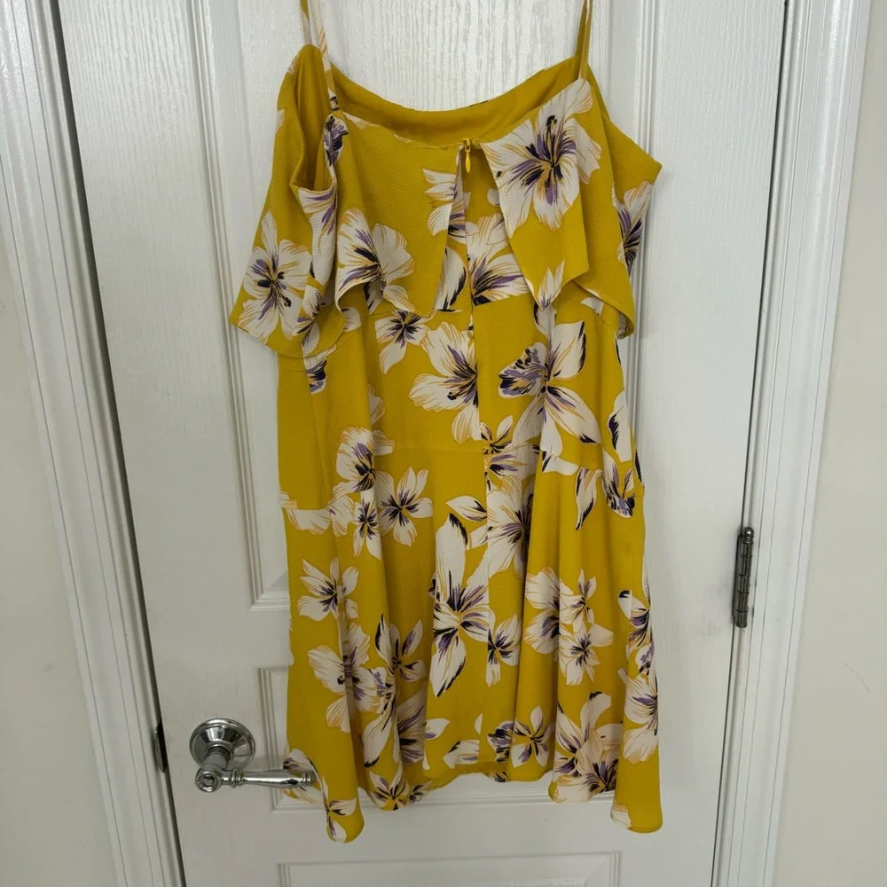 NWOT BB Dakota Island Time Printed Bubble Crepe Dress